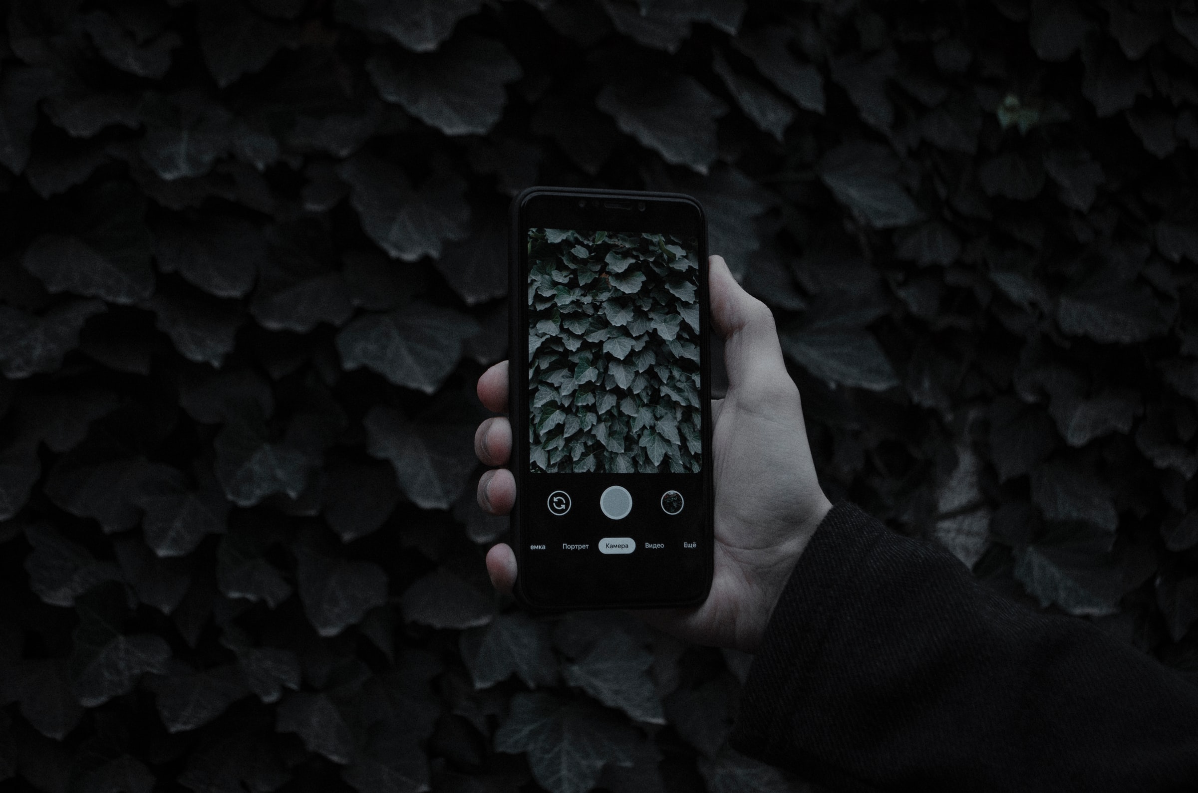 Comment optimiser ses images pour le SEO ?