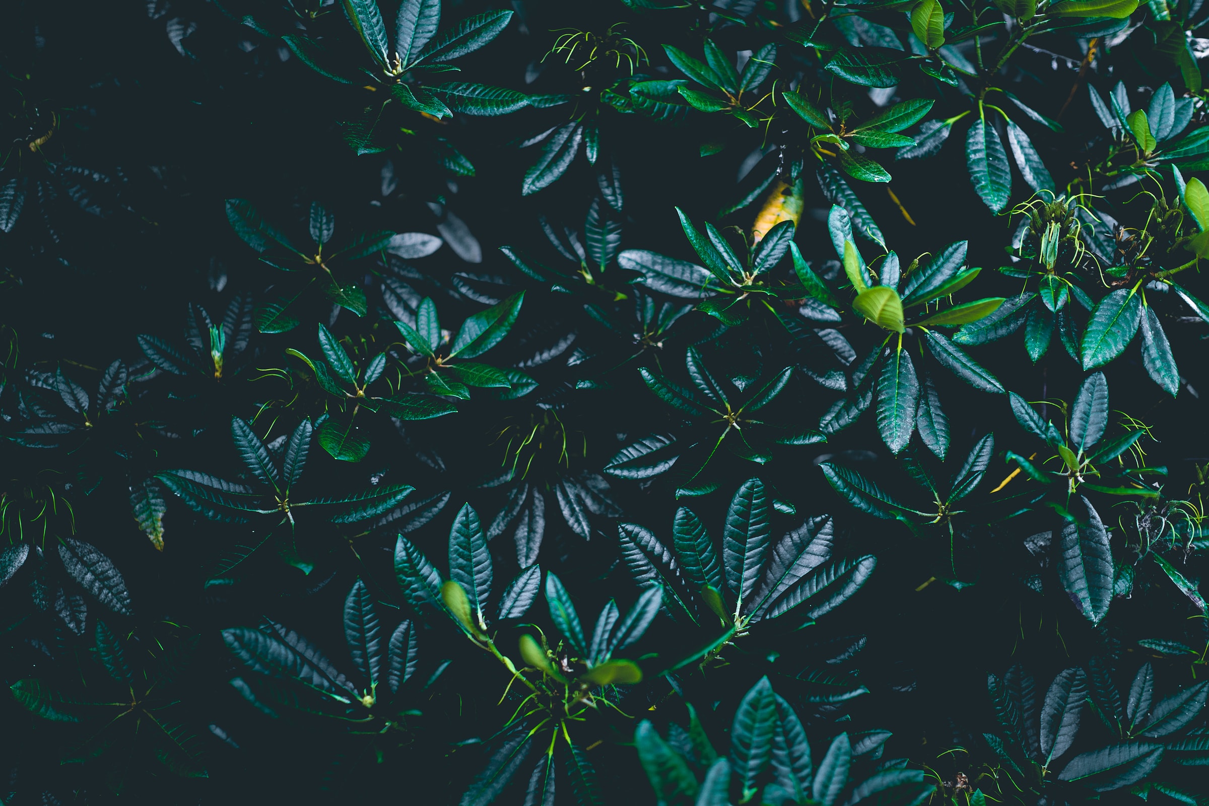 5 ways to help you get fresh ideas from your old blog content