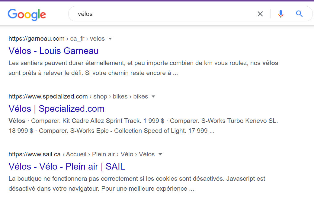 Exemple de résultats de recherche pour notre cas