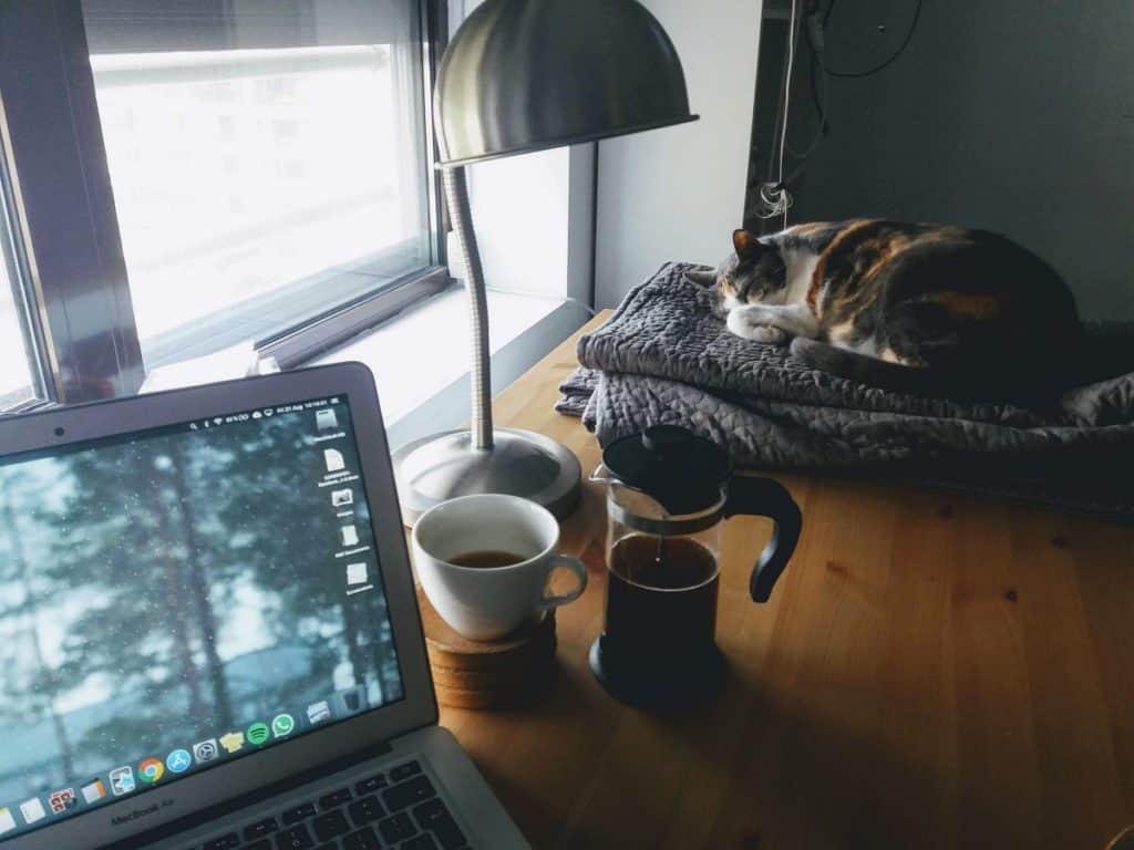 seo : être prêt pour un nouveau site