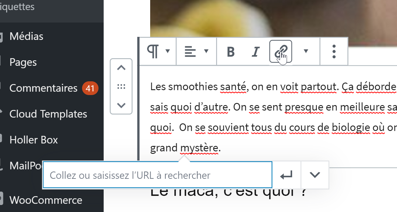 mettre un lien en no-follow dans Wordpress