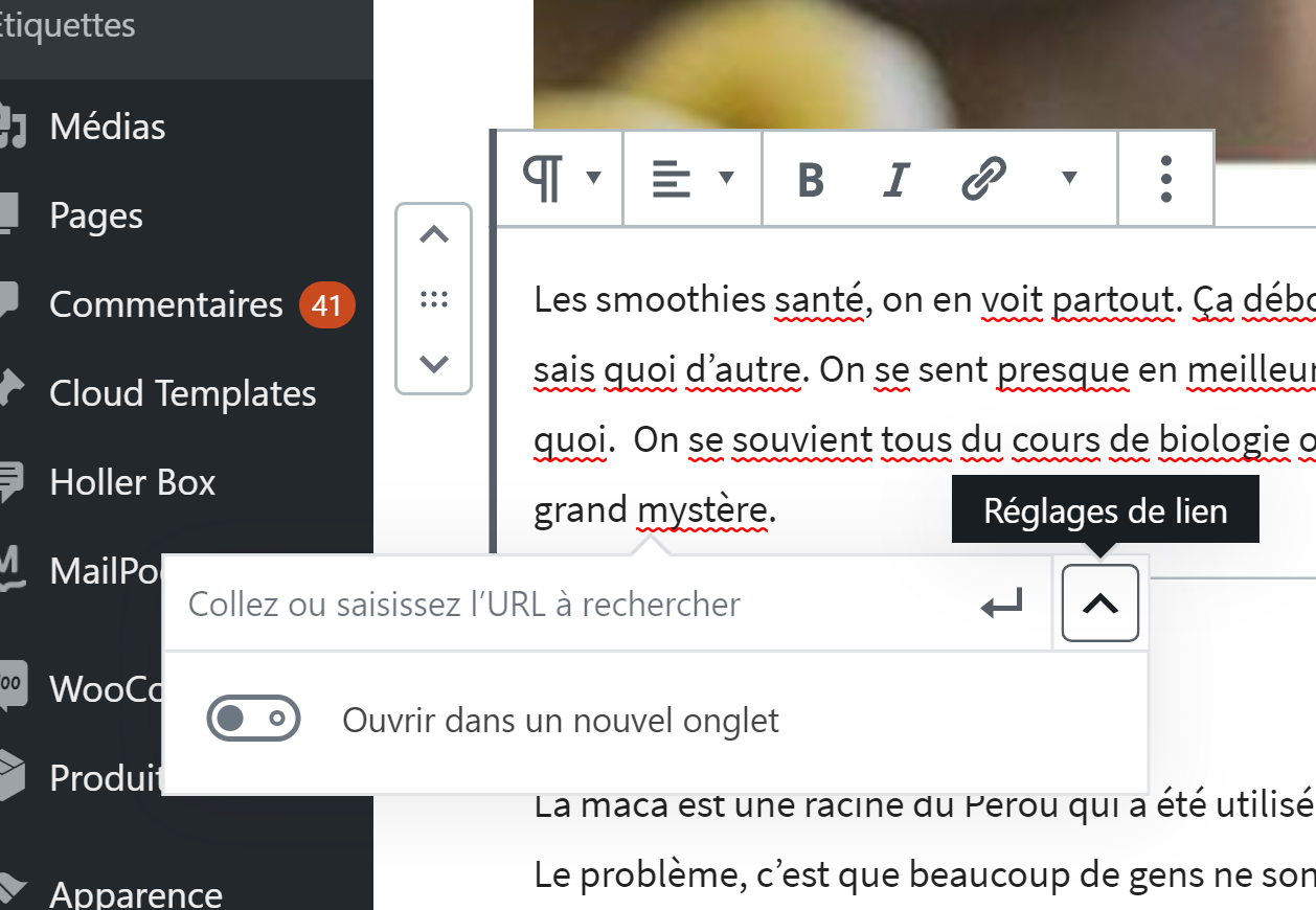 passer le lien en no-follow - wordpress