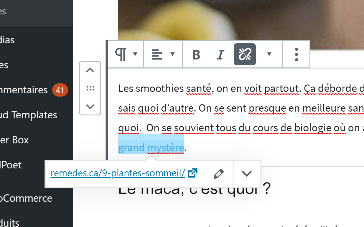 ajouter un lien avec wordpress
