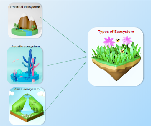 Three types of ecosystem merged into one