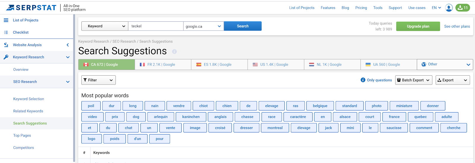 SERPstat et la recherche de mots-clés